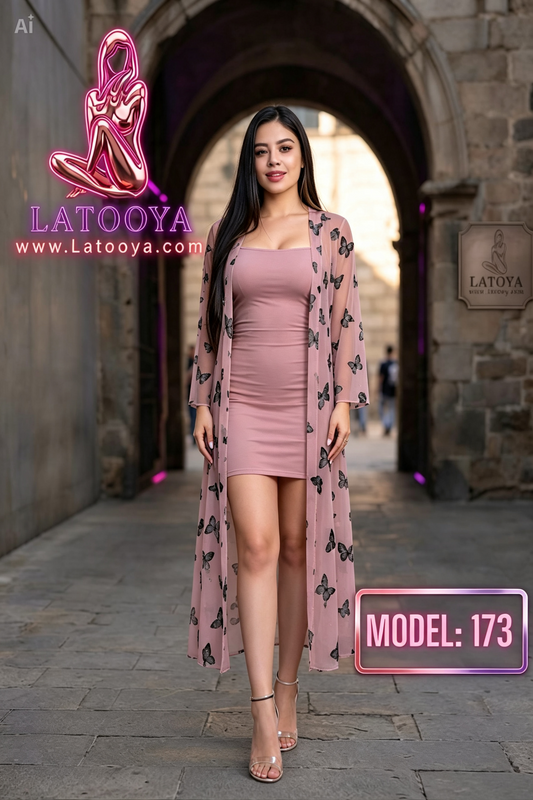 Model L 173