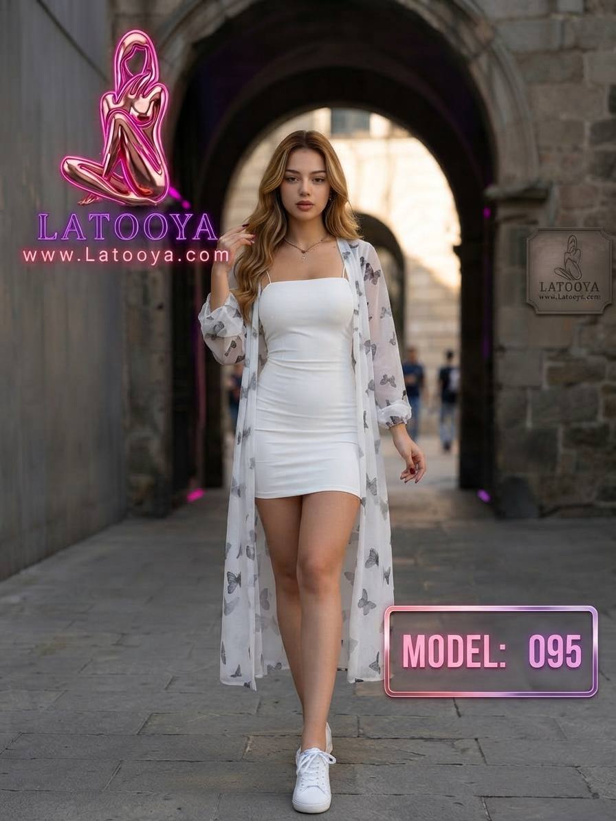Model L 173