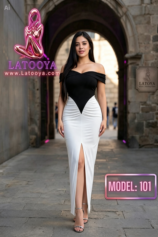 Model 101